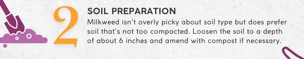 2. Soil Preparation: Milkweed isn't overly picky about soil type but does prefer soil that's not too compacted. Loosen the soil to a depth of about 6 inches and amend with compost if necessary.