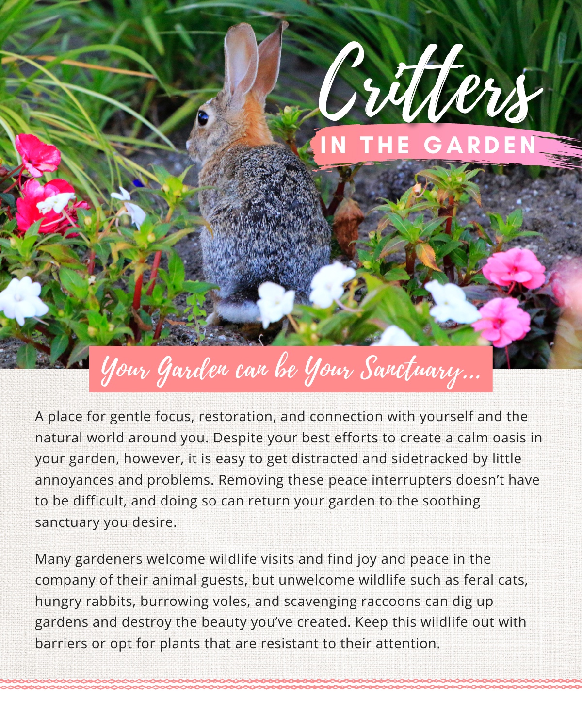 Critters In The Garden :: Poor Boy's Garden Center | MyNewsletterBuilder