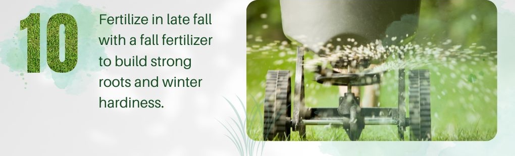 10. Fertilize in late fall with a fall fertilizer to build strong roots and winter hardiness.