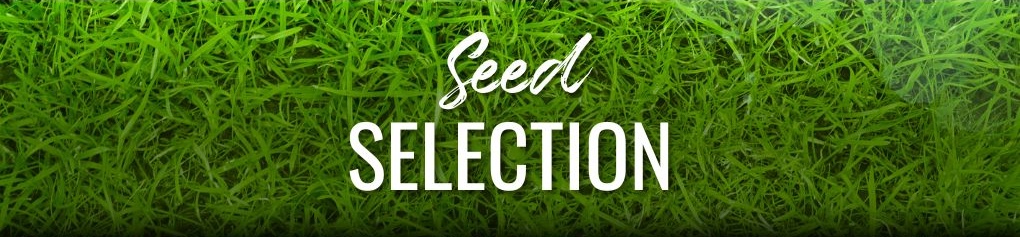 Seed Selection