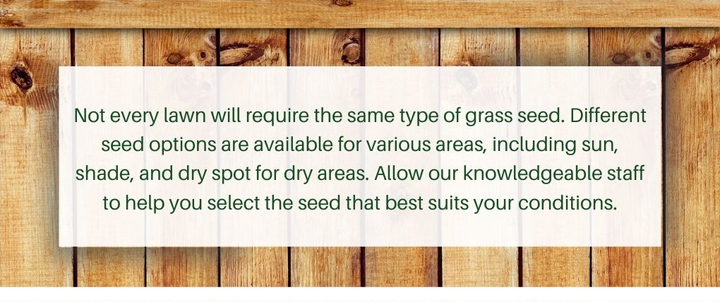 Not every lawn will require the same type of grass seed. Different seed options are available for various areas, including sun, shade, and dry spot for dry areas. Allow our knowledgeable staff to help you select the seed that best suits your conditions.