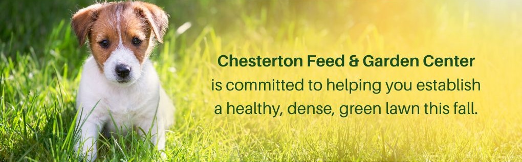 Chesterton Feed & Garden Center is committed to helping you establish a healthy, dense, green lawn this fall.